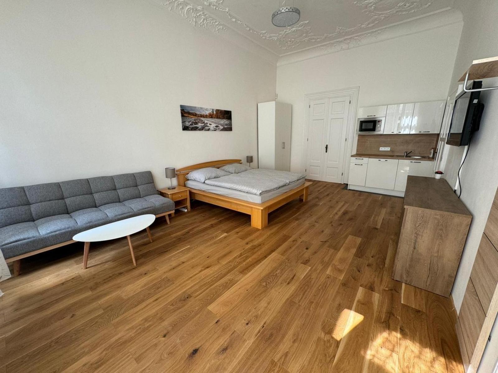 Palackeho Apartment 布拉格 外观 照片
