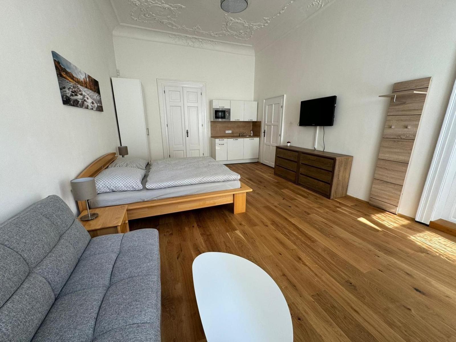 Palackeho Apartment 布拉格 外观 照片